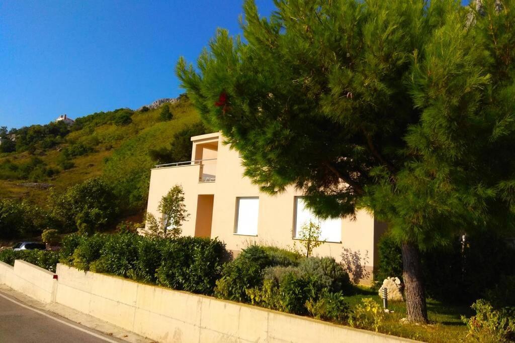 Apartment Dandelion Brela Dış mekan fotoğraf