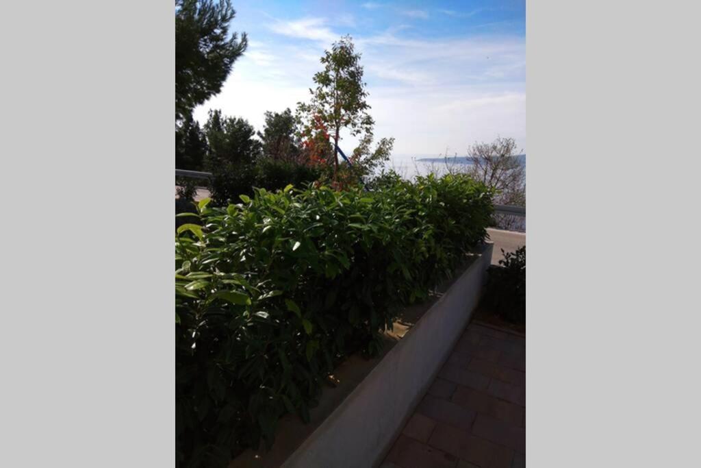 Apartment Dandelion Brela Dış mekan fotoğraf