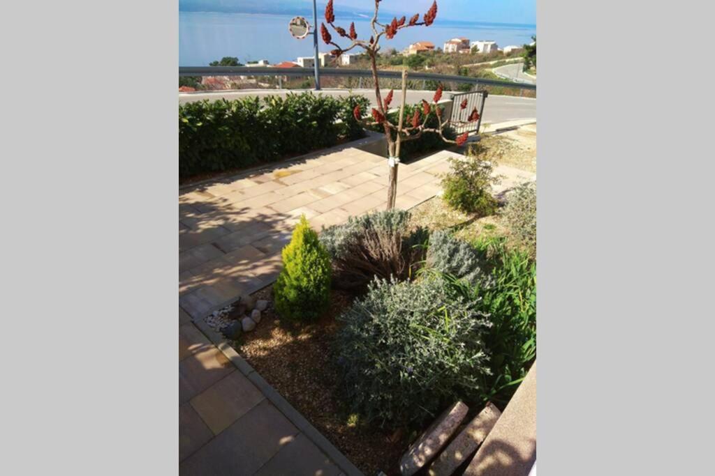 Apartment Dandelion Brela Dış mekan fotoğraf