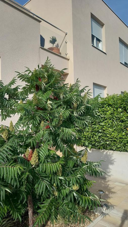 Apartment Dandelion Brela Dış mekan fotoğraf