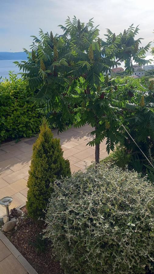 Apartment Dandelion Brela Dış mekan fotoğraf