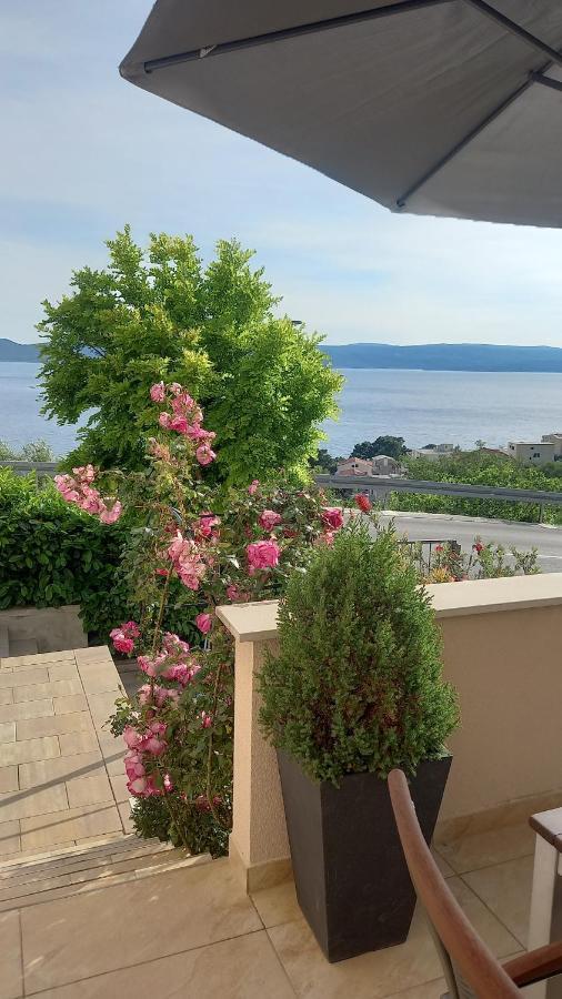 Apartment Dandelion Brela Dış mekan fotoğraf